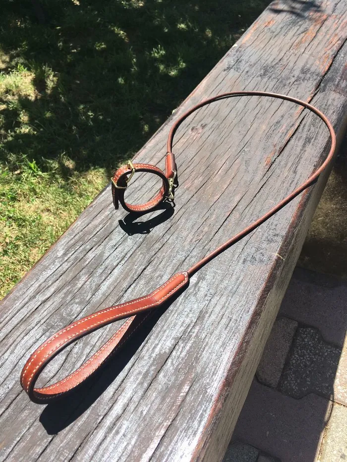 Création LC Sellerie : Collier laisse petit chien